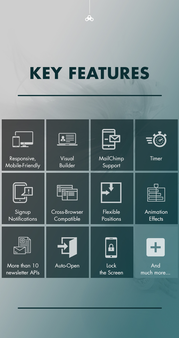 Key Features