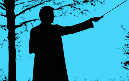harry potter silhouette standing in the forest, casting with his magic wand